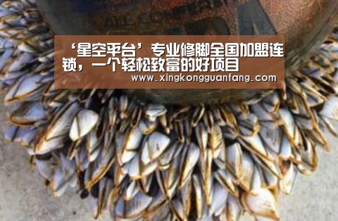 ‘星空平台’专业修脚全国加盟连锁,一个轻松致富的好项目(图2) 星空登录